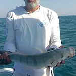 Dubai Fishing Trip 5 Hours