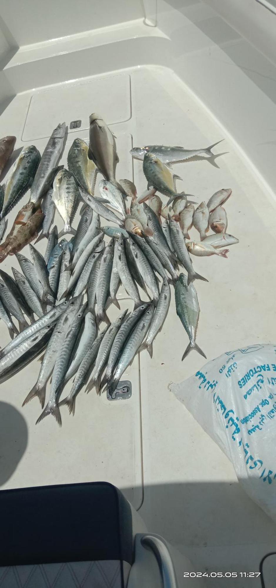 Fishing Trip 5 Dubai