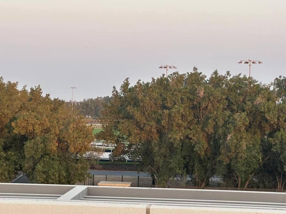 Luxurious Meydan With Unparalleled Views *