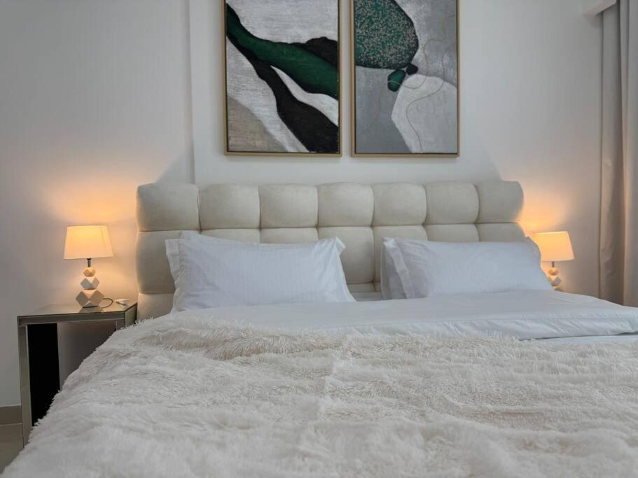 Ashri Modern Elegant Near Metro In Marina *