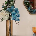 Durrani Homes - Glam Living Besides Dubai Mall