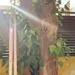 Garden Of Eden