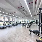 Brand New Studio & Large Green Terrace In Jvc