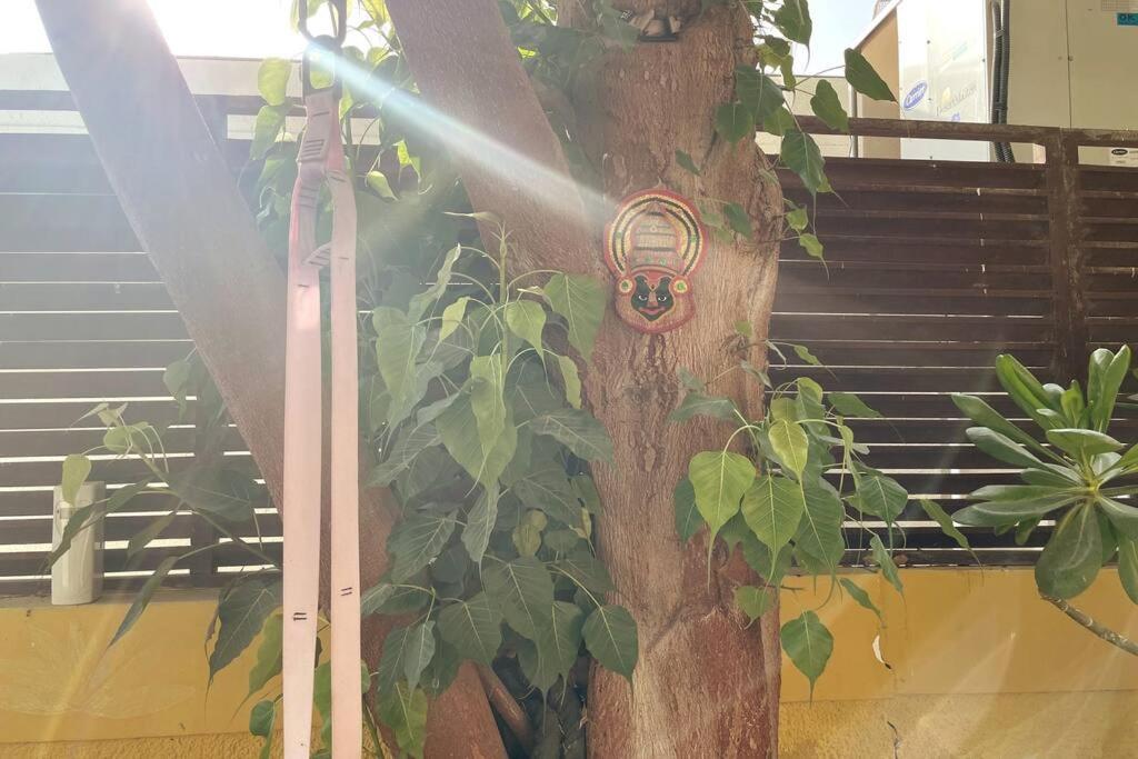 Villa Garden Of Eden *