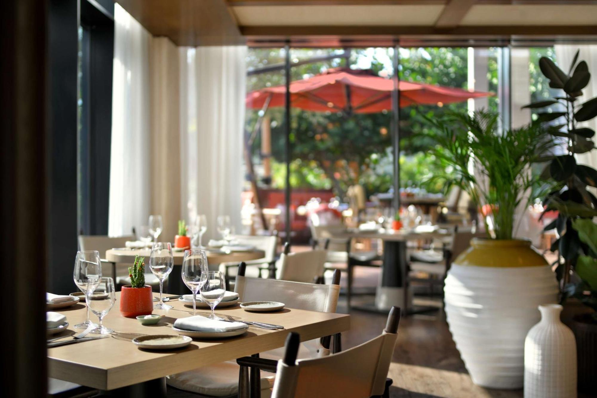 Banyan Tree At Bluewaters