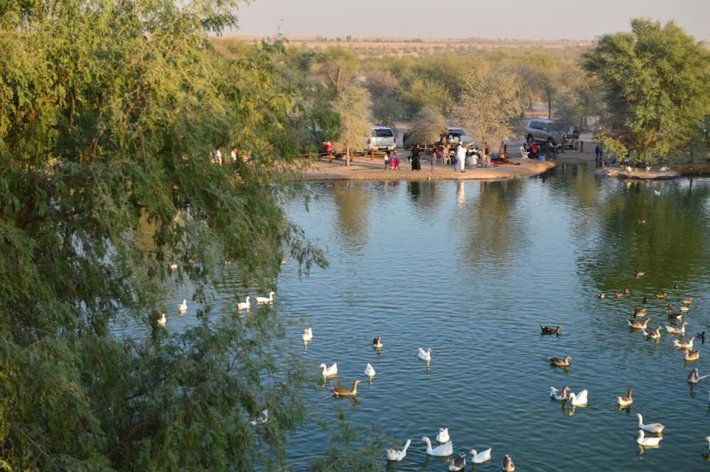 Al Qudra Lakes By Hyba Kapsül Otel *