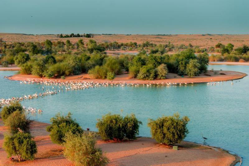 Kapsül Otel Al Qudra Lakes By Hyba Dubai