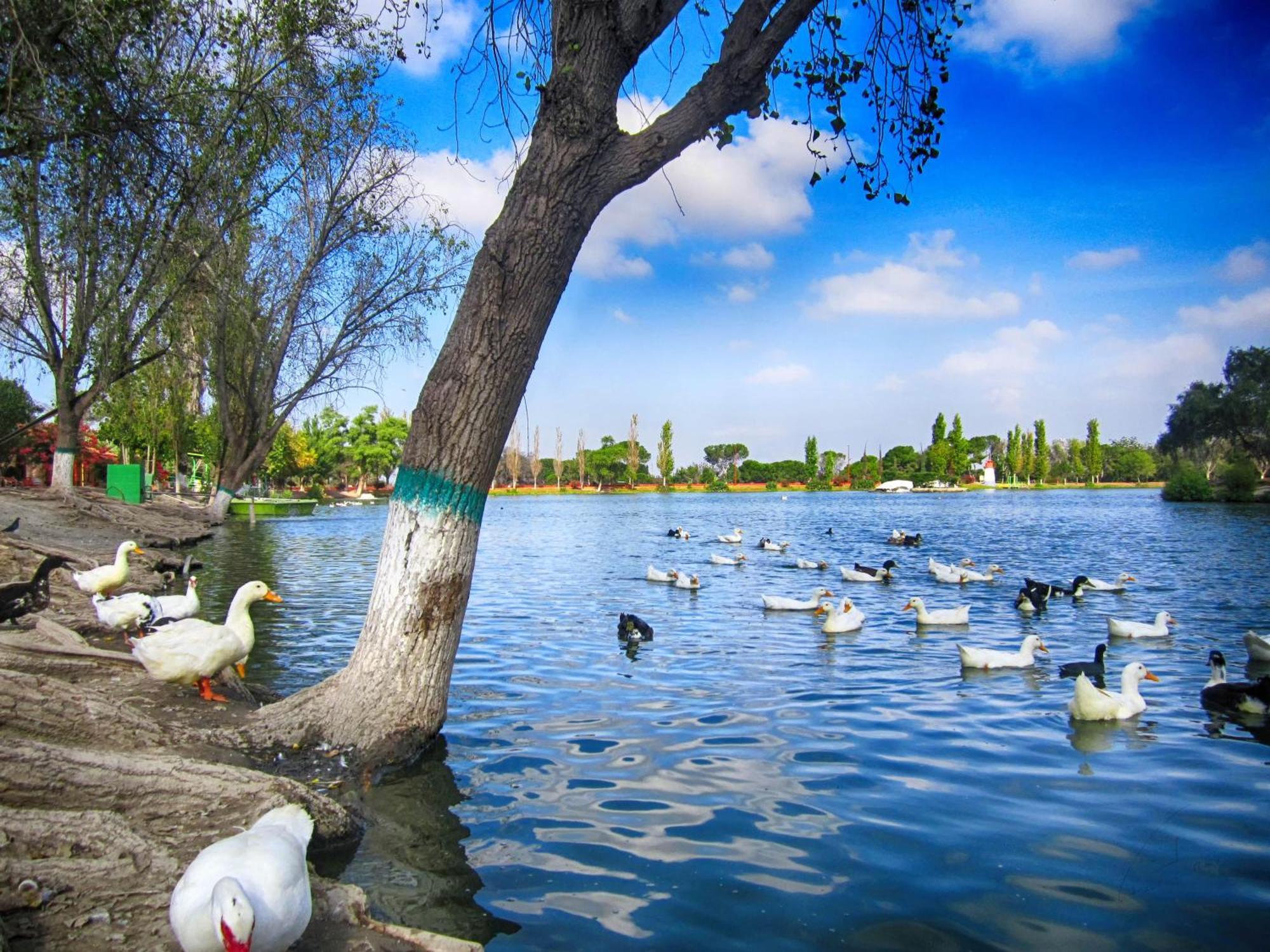 Al Qudra Lakes By Hyba Kapsül Otel Dubai