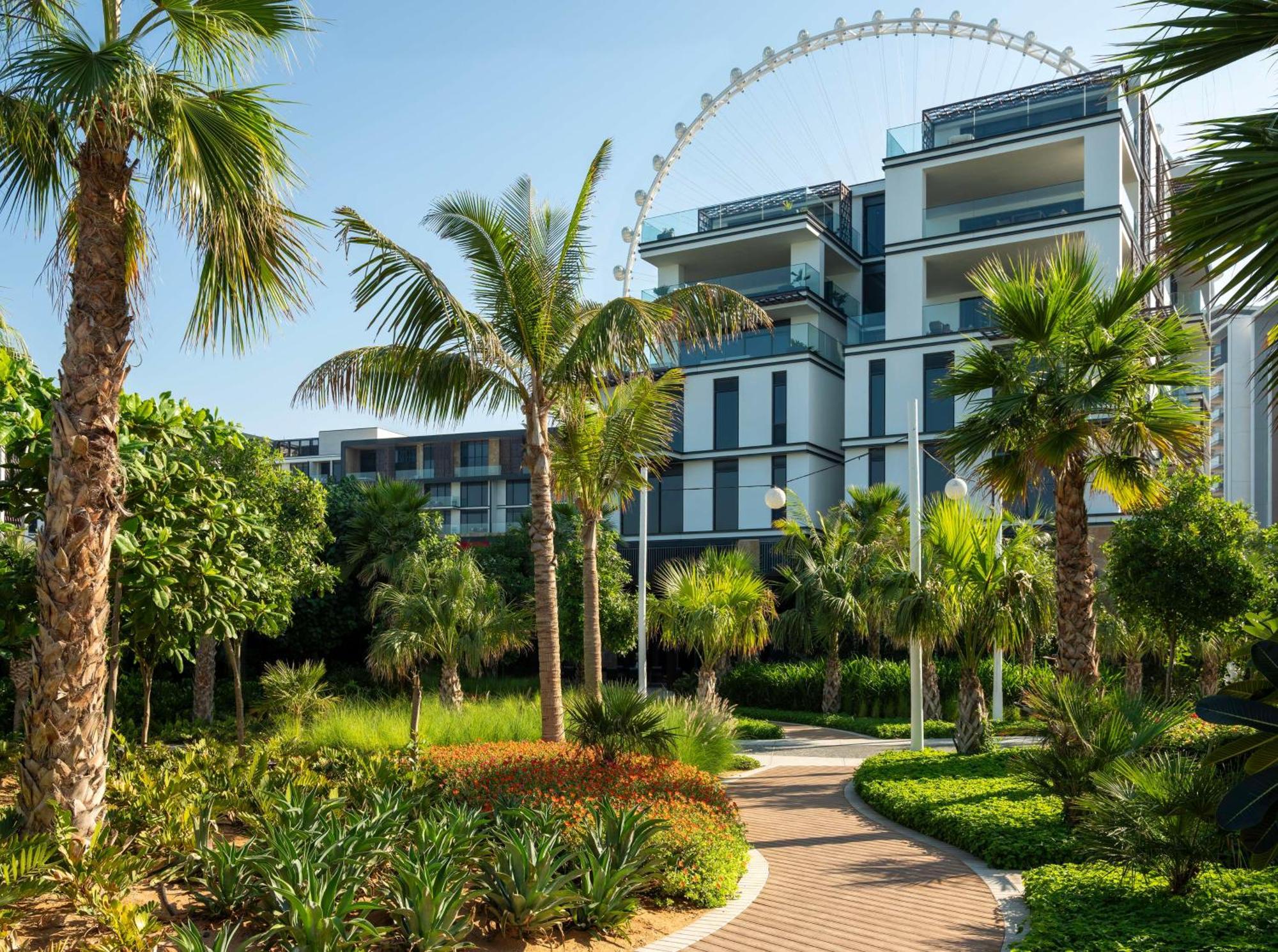 Banyan Tree At Bluewaters