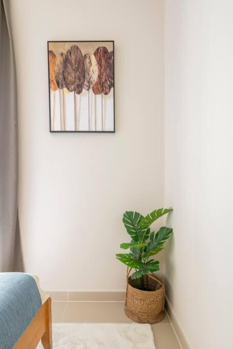 Apartment Luxury Harbour Gate 3 Bedroom Apt