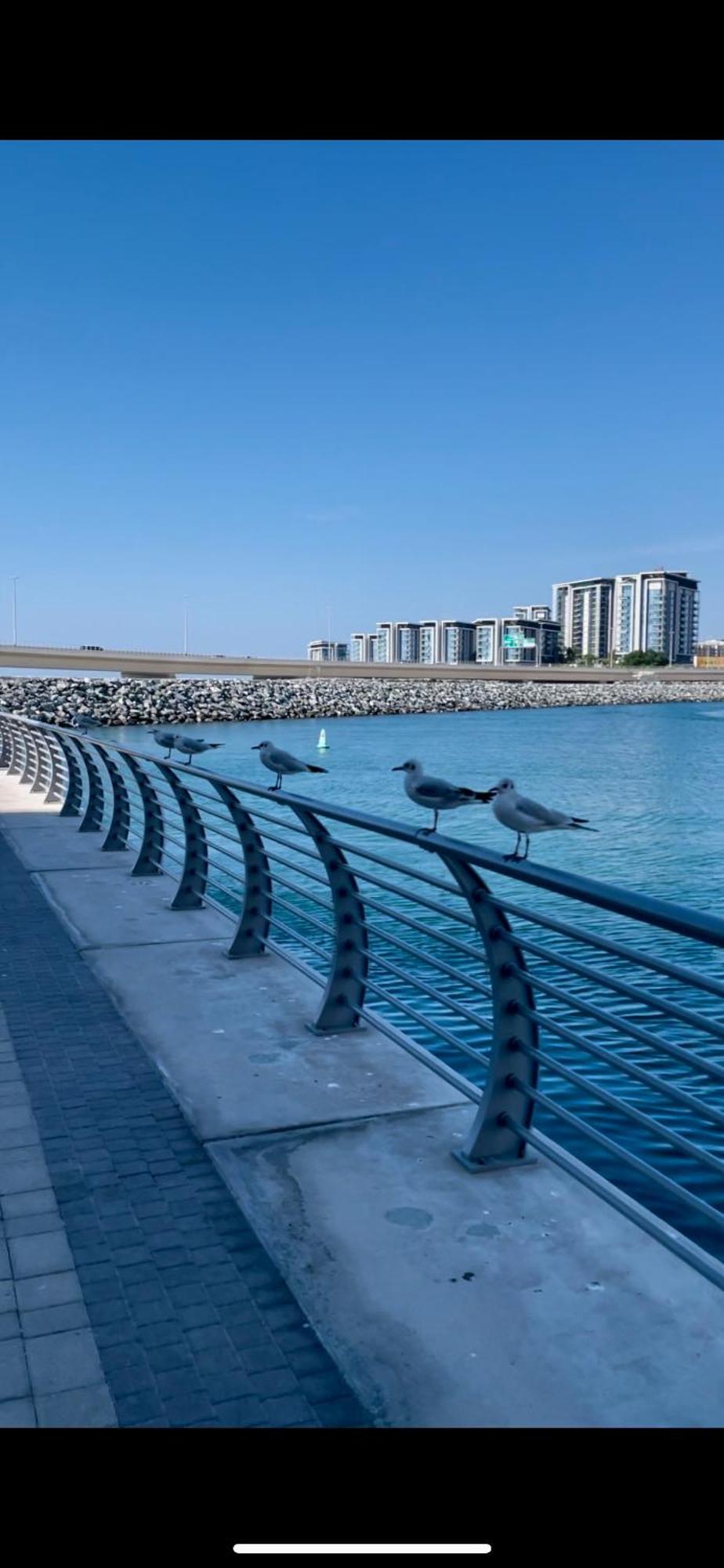 Apartment Bright & Cozy 1 Bedroom Canal View In Marina Dubai