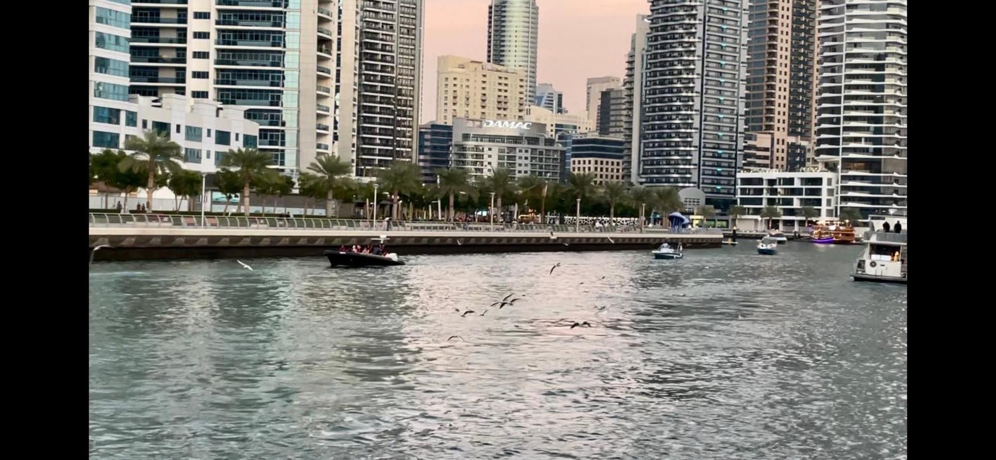 Apartment Bright & Cozy 1 Bedroom Canal View In Marina Dubai