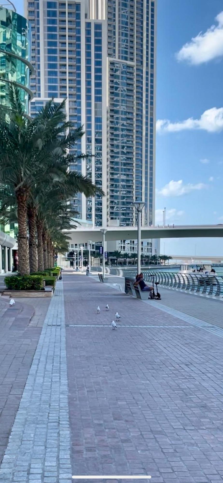 Bright & Cozy 1 Bedroom Canal View In Marina Dubai