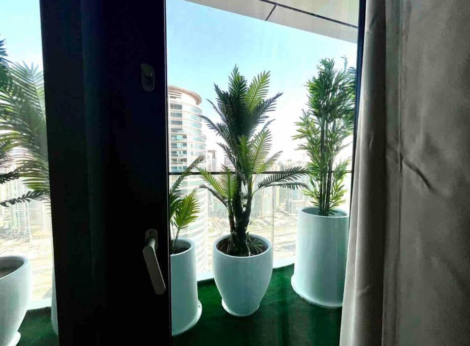 Apartment Vida Marina