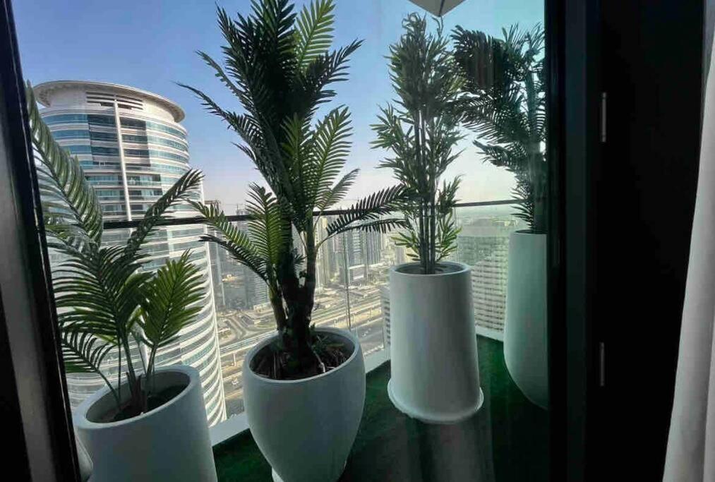 Apartment Vida Marina