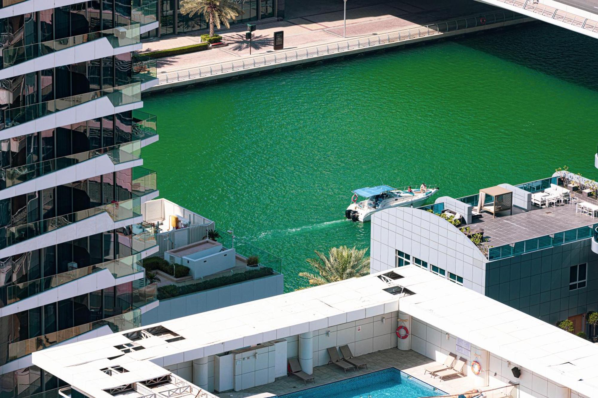 Beautiful Home, Magnificent View Apartment Dubai
