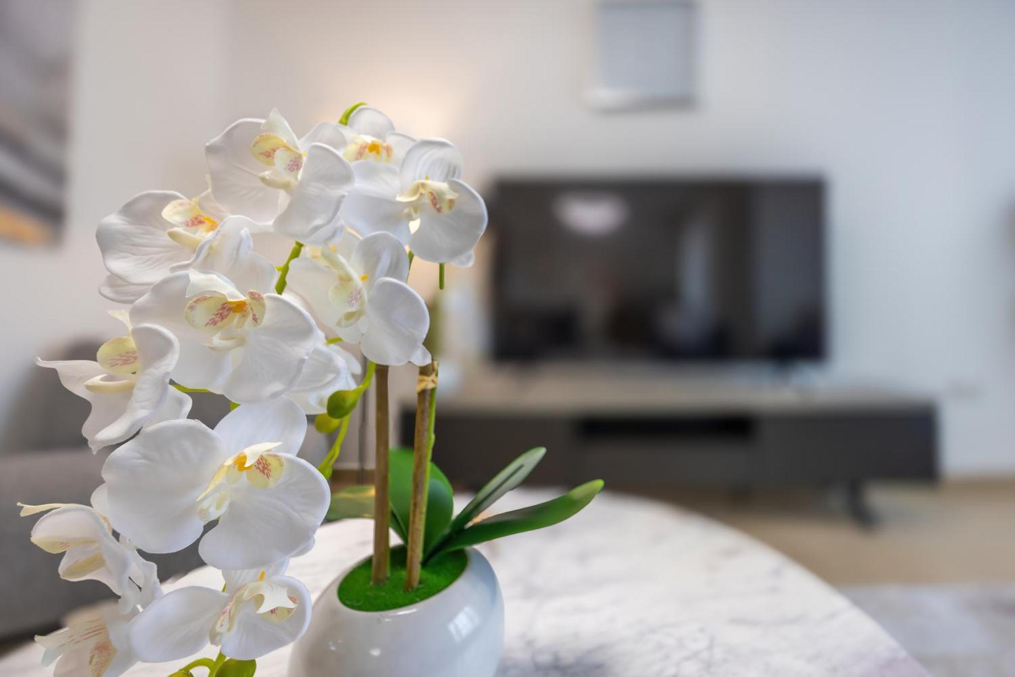 Stylish 2br Just Minutes From
