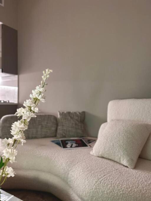 Cozy Urban Near Mall Dubai