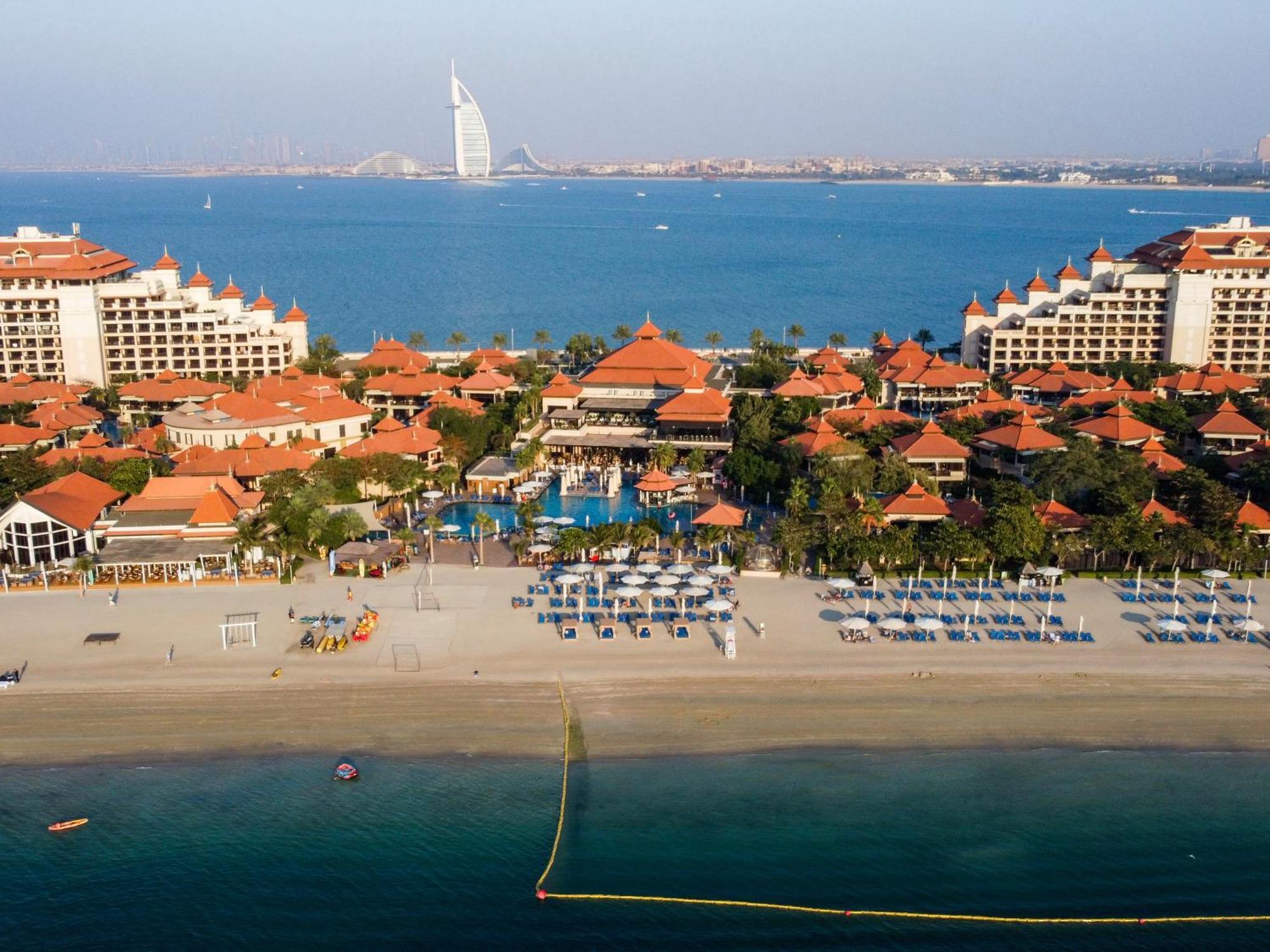 Elegant 1br Full Palm View At 5 Star *