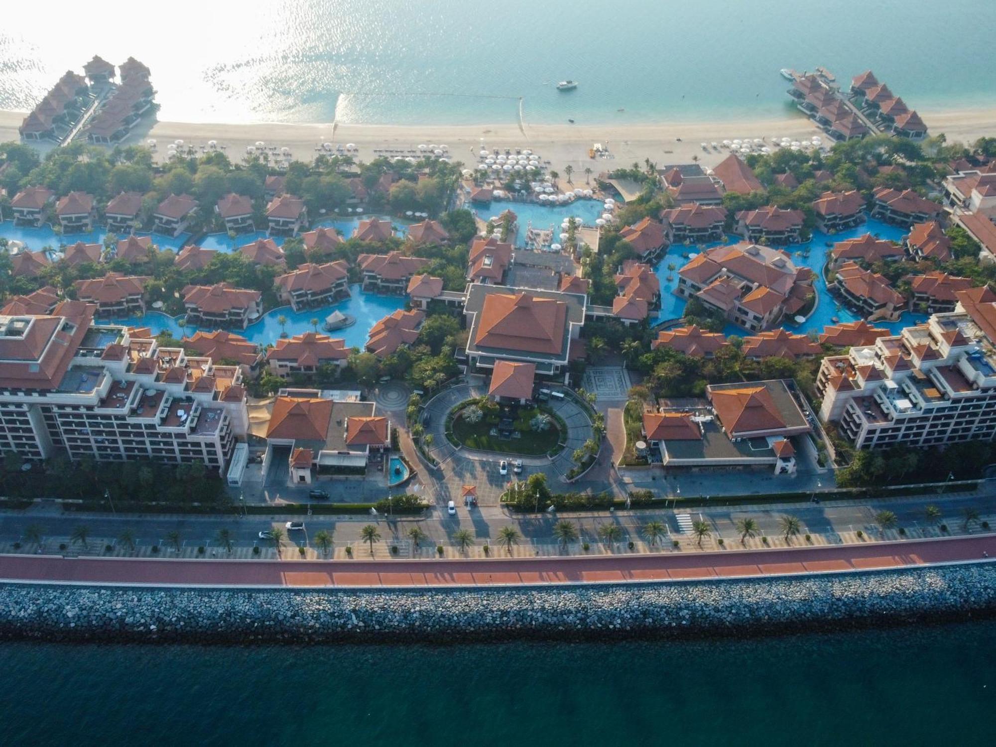 Elegant 1br Full Palm View At 5 Star Apartment