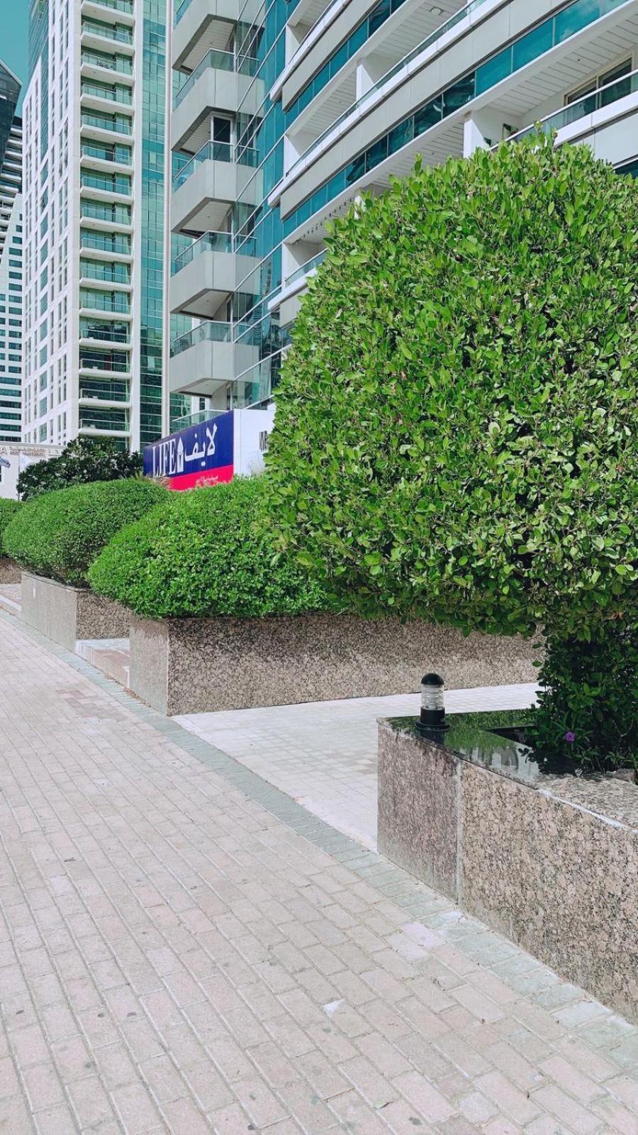 Luxury 1 Bhk With Panoramic Marina View Dubai