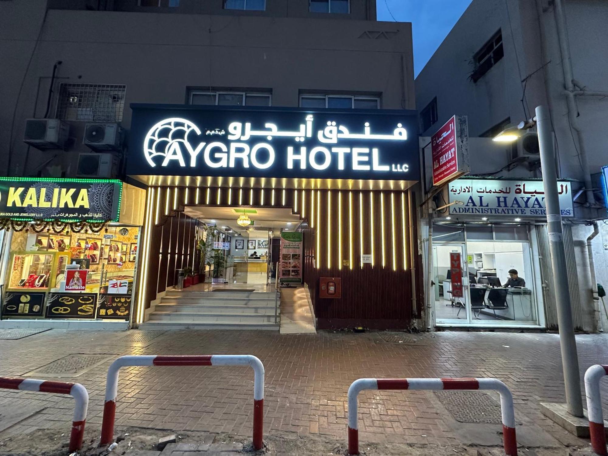 Hotel Aygro 2*