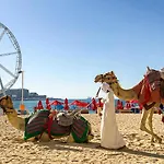 Royal Oceanic In Jbr By Happy Season