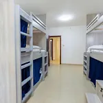 Jumeirah Beach Residence View Premium Hostel