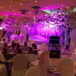 Royal Concorde Hotel & Suite
