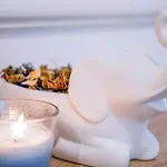 The Nest By Beds & Company