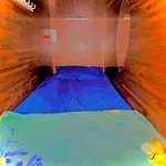 The Five Capsule