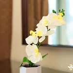 Suitestay Address Dubai Mall Residence