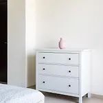 Higuest Vacation Homes - Arcadia Villas
