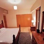 The Holiday Homes
