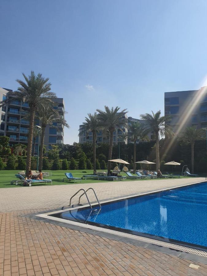 Apartment Cozy 1-bedroom In South With Pool