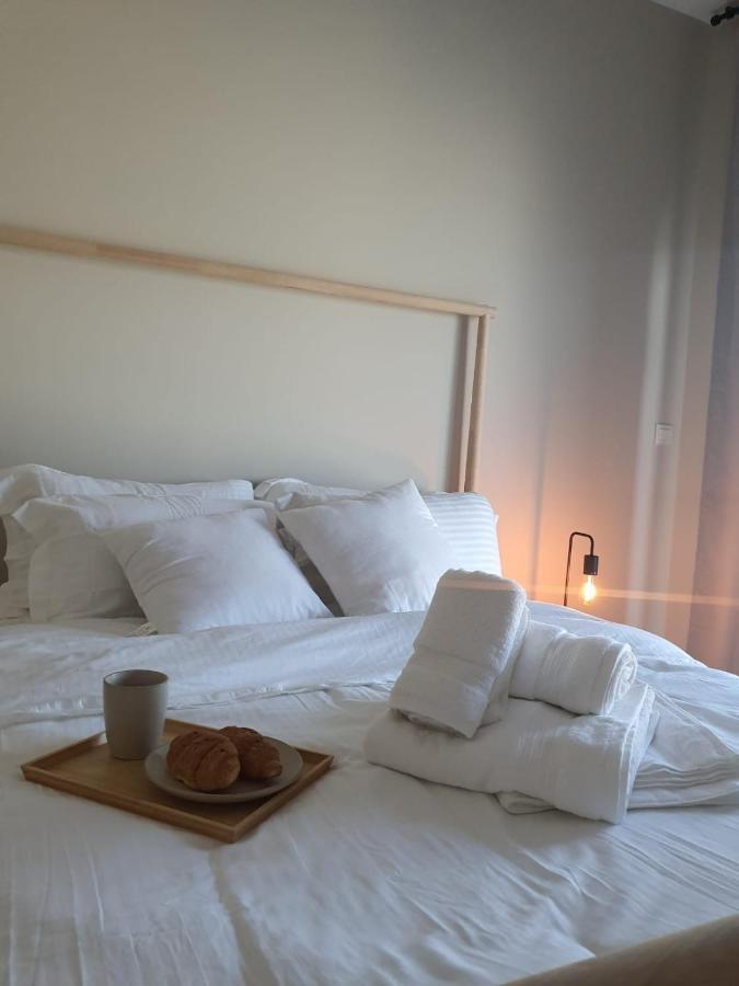 Cozy 1-bedroom In South With Pool Apartment