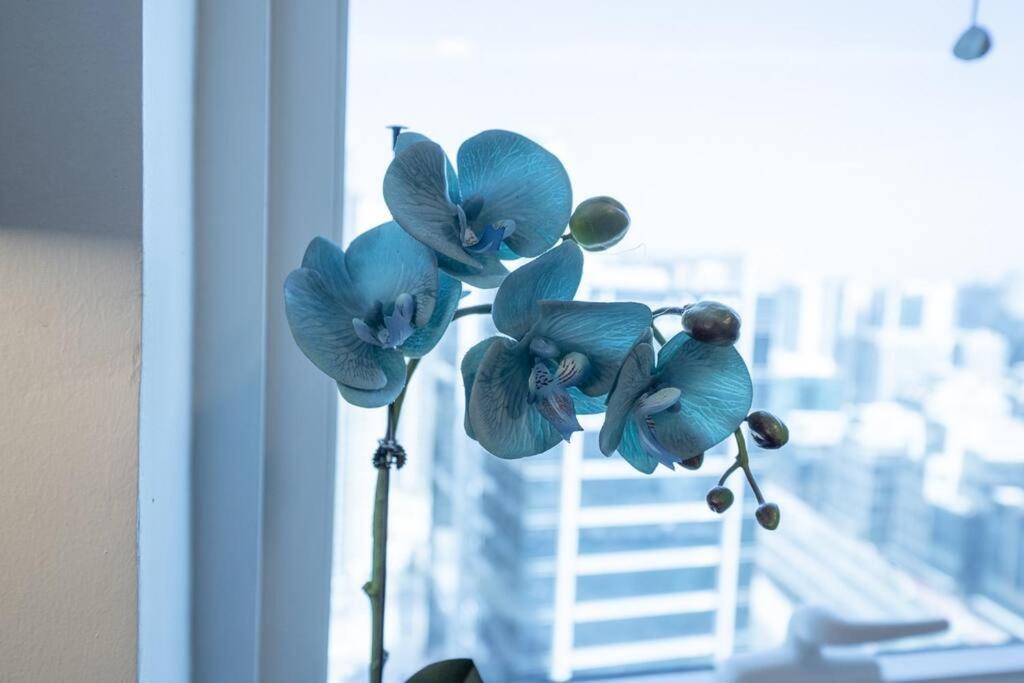 At The Burj View - Special Offer Apartment Dubai