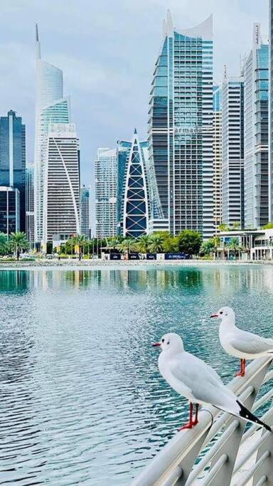 Apartment Amazing 1br In Jlt With View Near Marina And Jbr Dubai