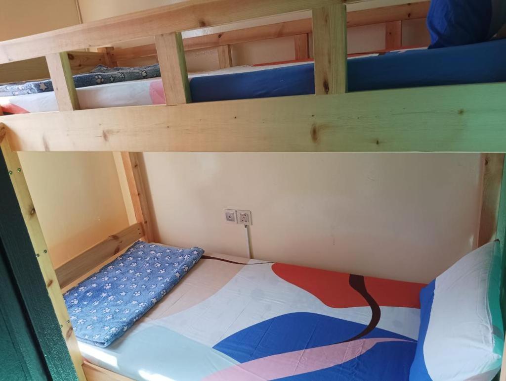 Moon Backpackers , Al Rigga , Partition For Couples And For Singles *