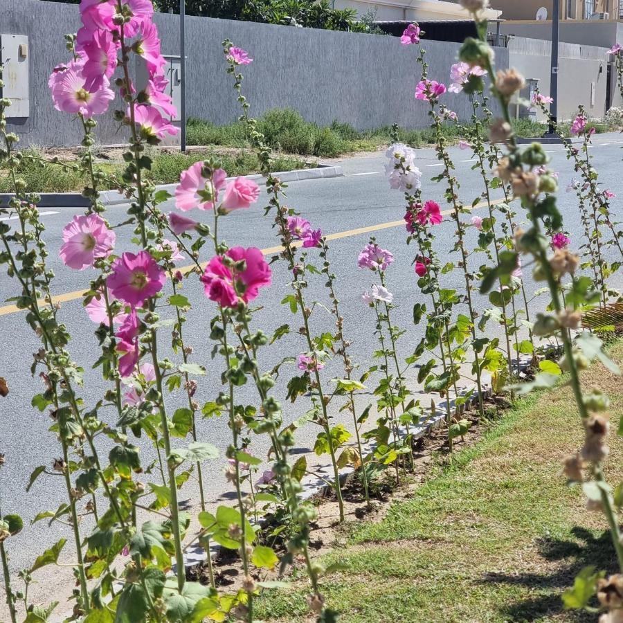 Homestay Warqa Garden Dubai