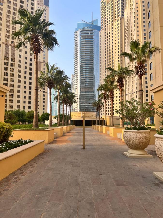 Robin Jbr