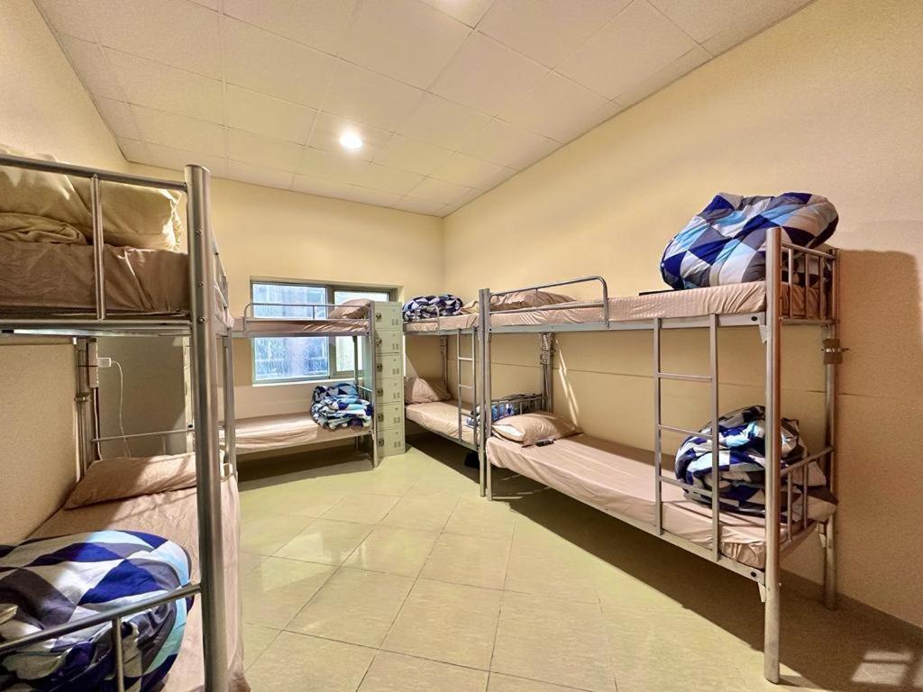 Hostel New World Near Adcb Metro Station Dubai