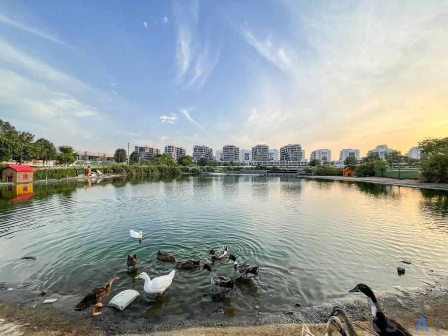 Daire In Loreto 1a, Damac Hills - Host & *