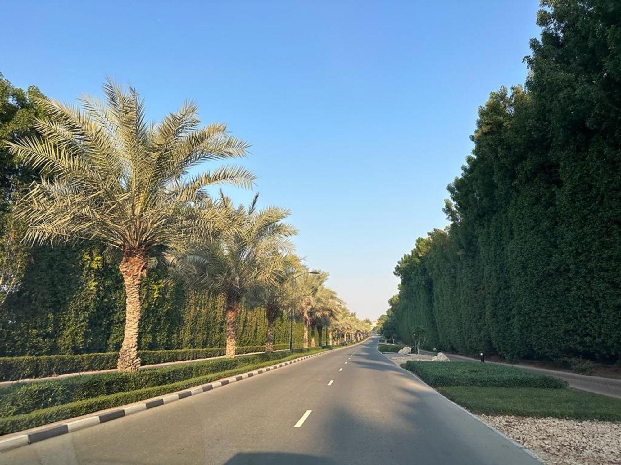 Whispering Pines Jumeirah Golf Estates By Golden Casa