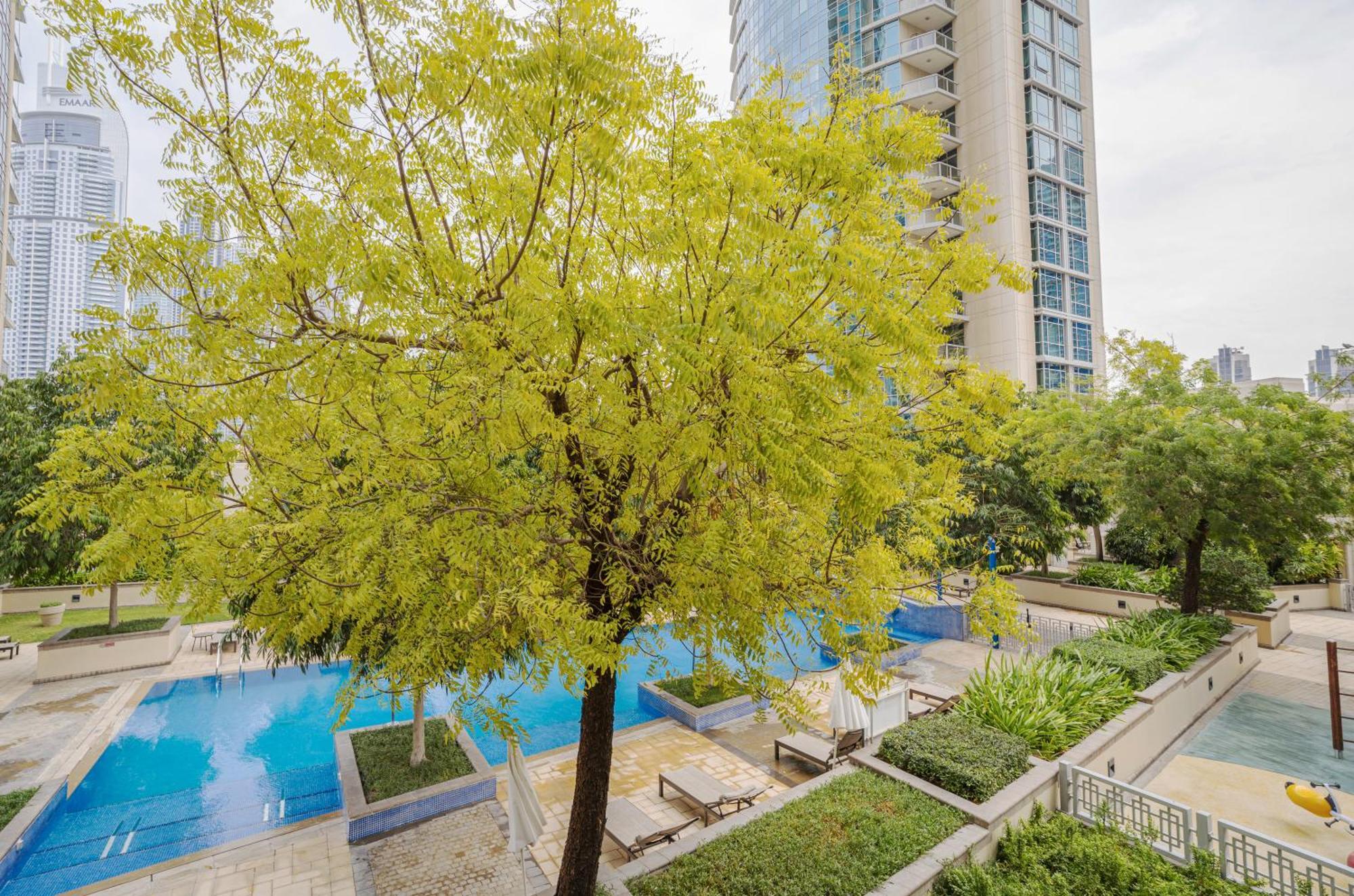 New Arabian Burj 1 & 8 Downtown Apartment *