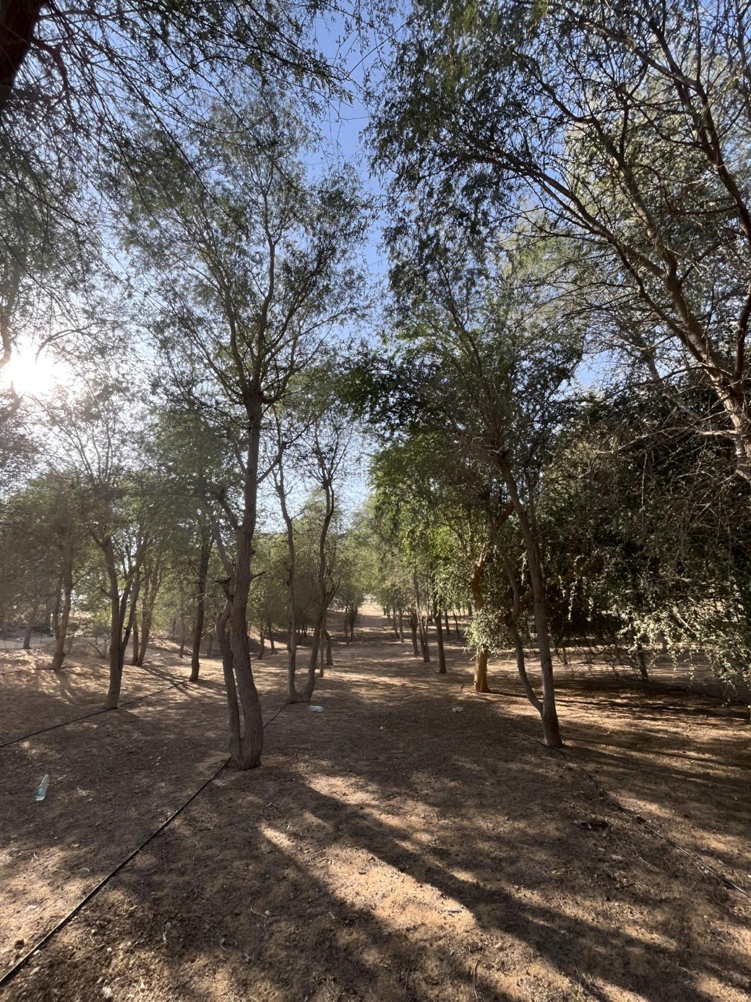Acampamento Sahara & *