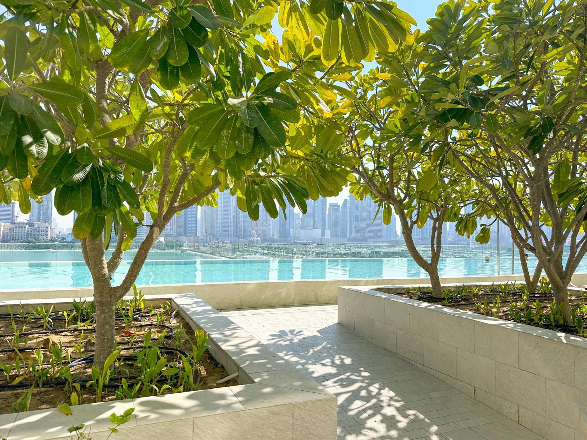 Apartment Eden's Homes & - Sunrise Bay Emaar Beachfront