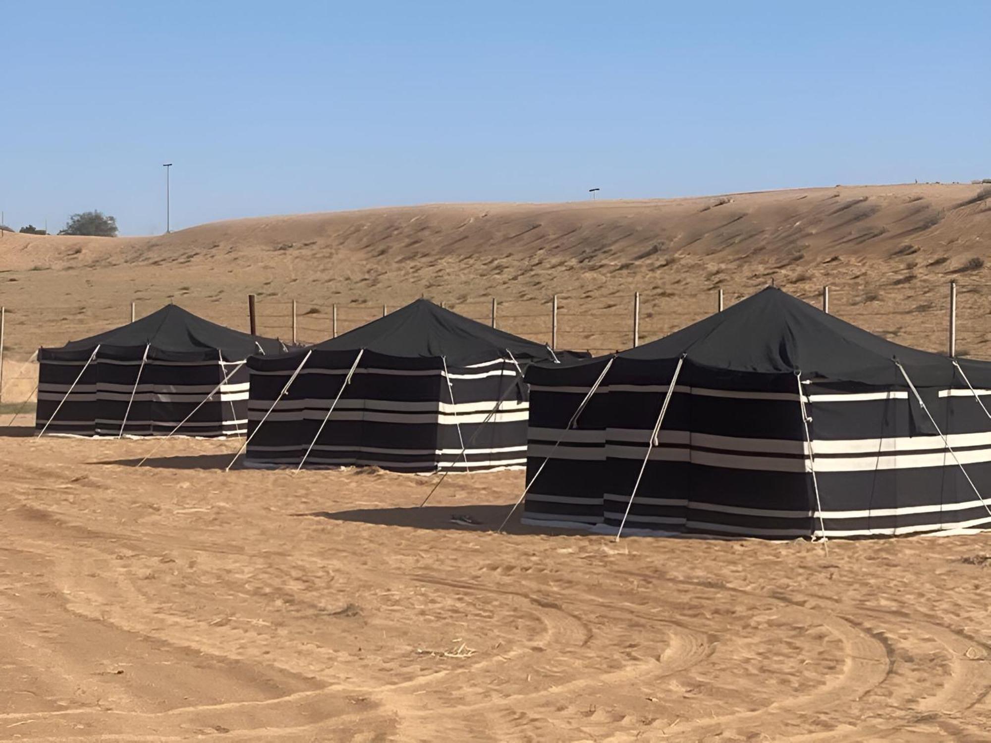 Sahara & *