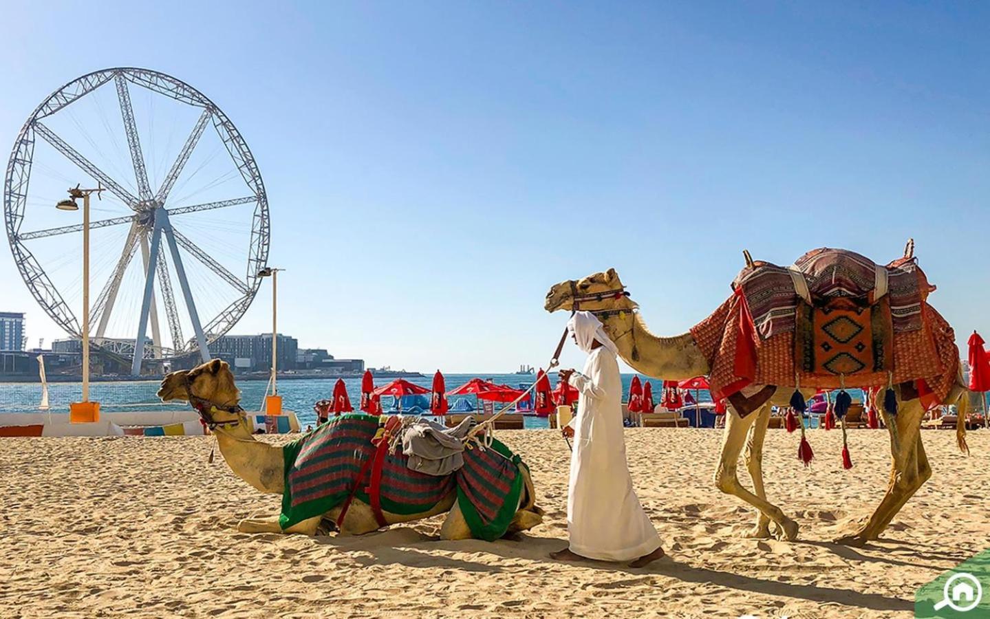 Shams Front Jbr By Happy Season Dubai