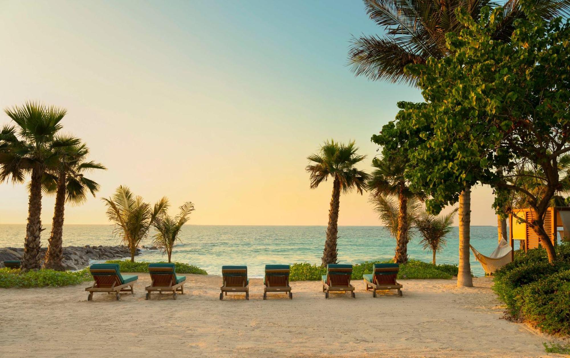 Banyan Tree At Bluewaters